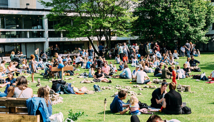 Afbeelding DE SINGEL